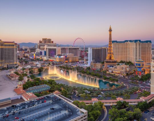 Rubber Turf Safety Surfacing-Nevada State